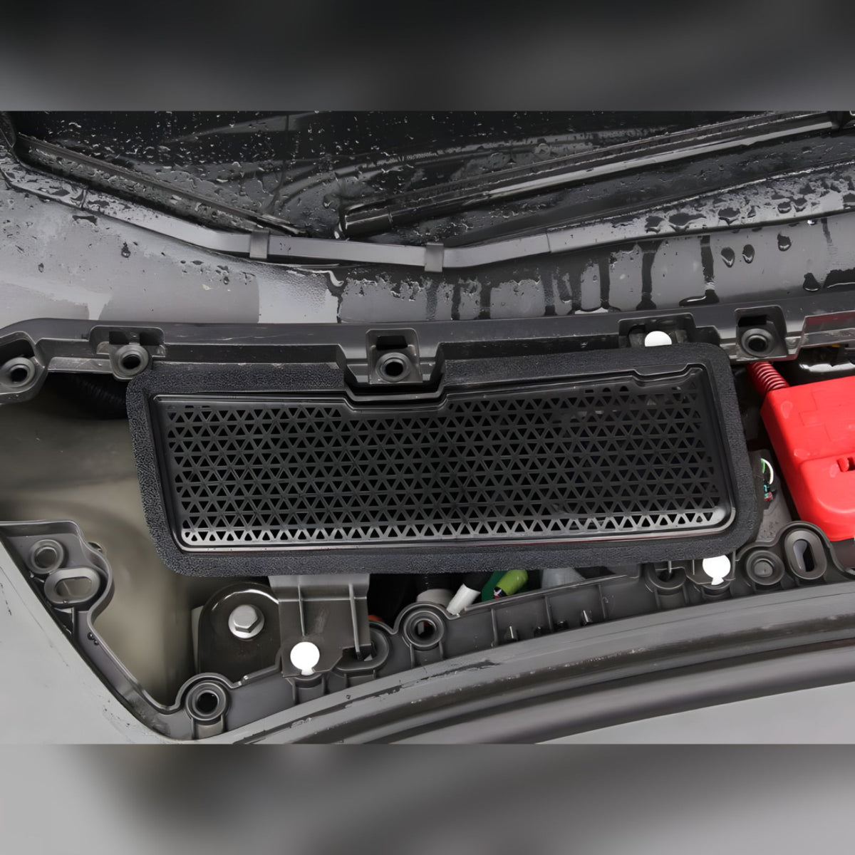 Lüftungsgitter-Einsatz für Tesla Model 3, Laubschutz vor dem Lufteinlass