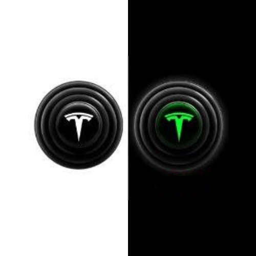 Tür-Stoßdämpfer 4er Set für Tesla, Produktansicht2 Tür-Stoßdämpfer für Tesla, Detailansicht, Detail 2